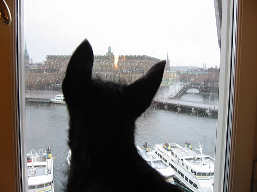 A day at the Hotel......X-Mas suxx